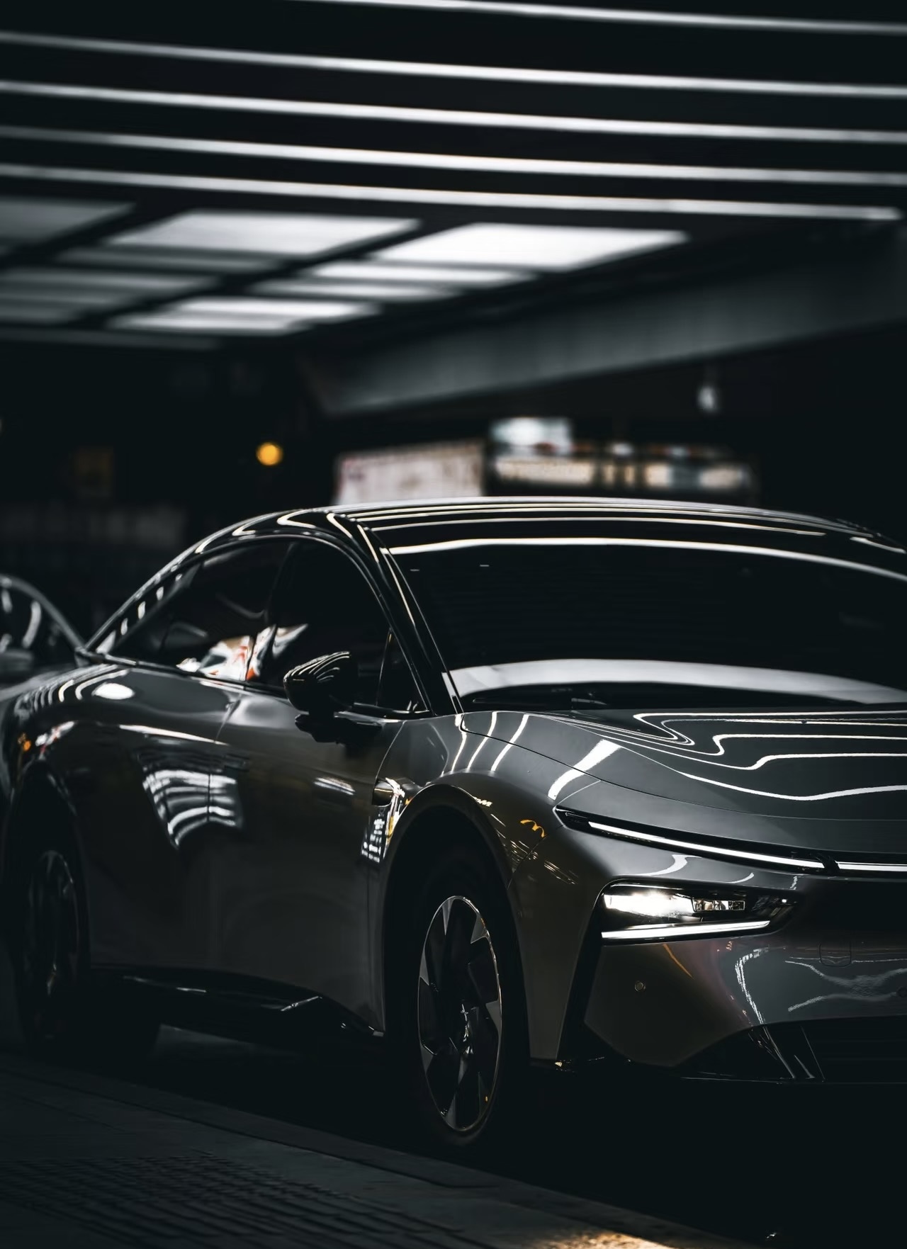 Solar & Paint Protection Film